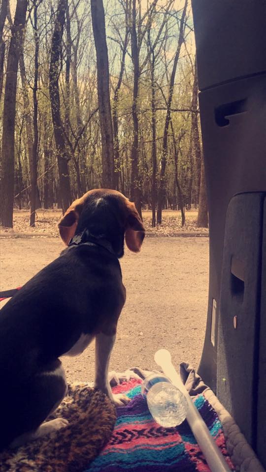 Andy looking out toward the woods from a van
